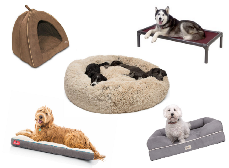 Choosing a Comfortable Dog Bed