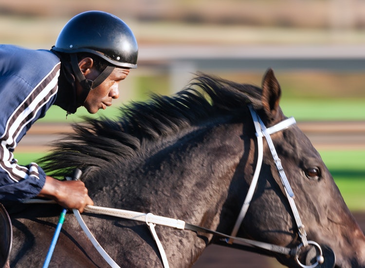 Horse Racing Mile Cs Advance Forecast