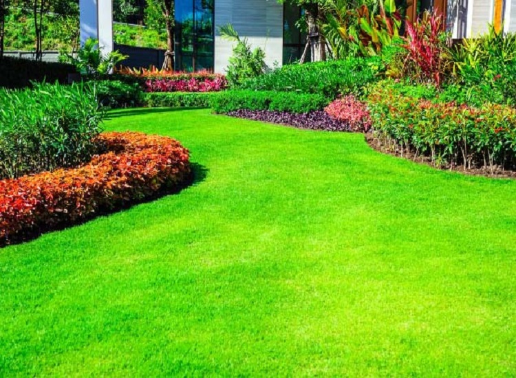 How to Create a Perfect Lawn